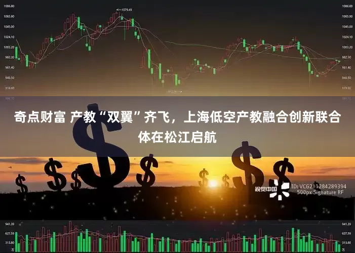 奇点财富 产教“双翼”齐飞，上海低空产教融合创新联合体在松江启航