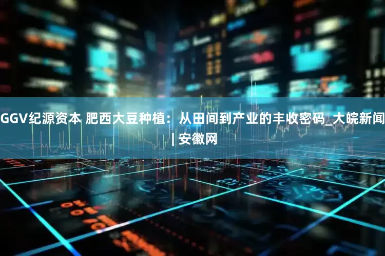GGV纪源资本 肥西大豆种植：从田间到产业的丰收密码_大皖新闻 | 安徽网