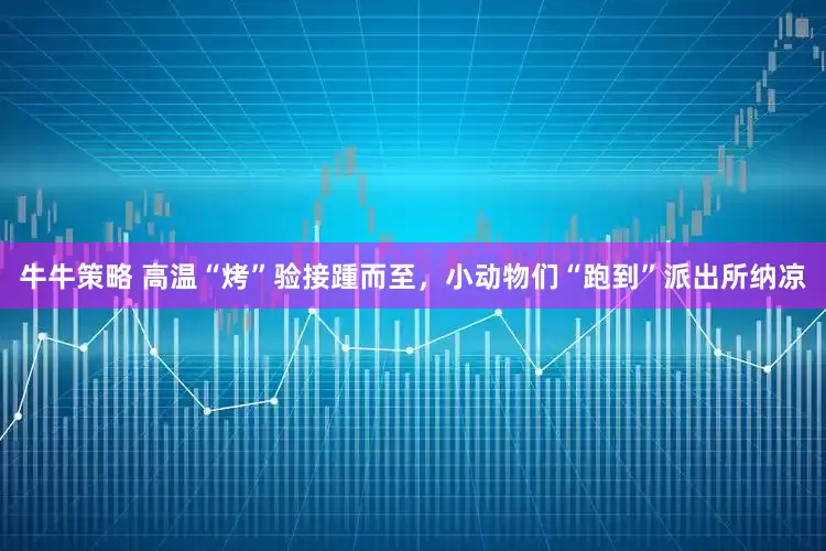 牛牛策略 高温“烤”验接踵而至，小动物们“跑到”派出所纳凉
