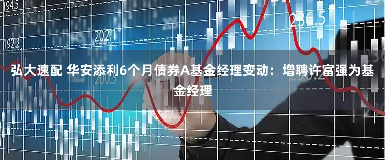 弘大速配 华安添利6个月债券A基金经理变动：增聘许富强为基金经理