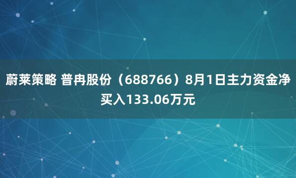 蔚莱策略 普冉股份（688766）8月1日主力资金净买入133.06万元