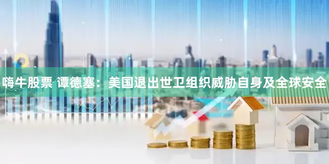 嗨牛股票 谭德塞：美国退出世卫组织威胁自身及全球安全